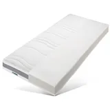 fan ProVita First Class T 100 x 200 cm H3 feuchtigkeitsregulierender Lyocell Bezug