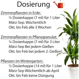 Substral Flüssigdünger Grünpflanzen 500 ml