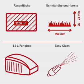 SCHEPPACH Benzin Rasenmäher MS225-56 6PS 6IN1 Schnittbreite 56cm