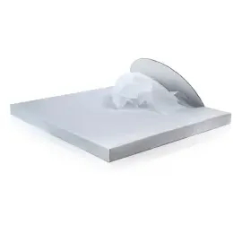 Maimed Schutzschürze PE 77526 50 St.