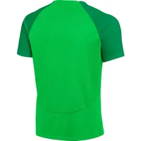 Nike Dri-fit Academy T-Shirt Green Spark/Lucky Green/White XXL