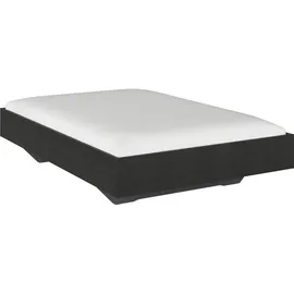Rauch Futonbett Phoenix grau ¦ Maße (cm): B: 145 H: 41