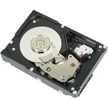 Dell 529FG 4 TB 3,5" 6 Gbit/s
