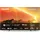 Philips The Xtra 55PML9008/12 55" 4K LED Ambilight TV