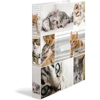 Herma Ringbuch A4 Katzen 2D