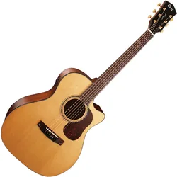Cort Gold A6 NG