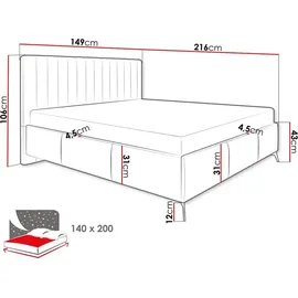 Mirjan24 Polsterbett Morris mit Bettkasten Doppelbett mit Leistenlattenrost Bett M24 - 140x200 - Fresh 13,