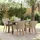 vidaXL Garten Essgruppe 5-tlg. Hellgrau
