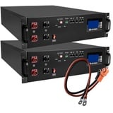 2x LIONTRON LiFePO4 Speicher LX48-100 - 48V 100Ah - 5,12 kWh mit BMS 110A