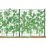 Stocker Creeper Plants Support 2 x 500 m Blumenkasten  Grün