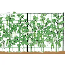 Stocker Creeper Plants Support 2 x 500 m Blumenkasten  Grün