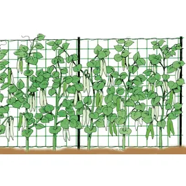 Stocker Creeper Plants Support 2 x 500 m Blumenkasten  Grün