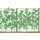 Stocker Creeper Plants Support 2 x 500 m Blumenkasten  Grün