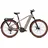 29 Zoll RH 53 cm Diamant moonstonegrey matt