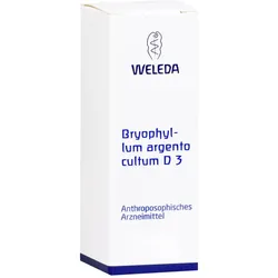 Bryophyllum Arg Cul D 3