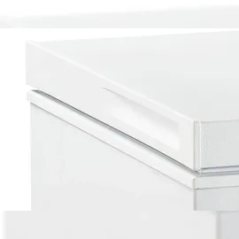 Frigelux Gefriertruhe CCO300BE mit 290Liter