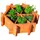 Promadino Kräuterbeet 76 x 72 x 27 cm braun