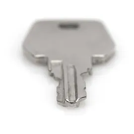 Digitus DN-19 KEY-9473 Ersatzschlüssel