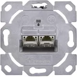 Telegärtner Modulaufnahme AMJ-S 2fach UP/0flex Cat6A T568B 100022965