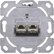 Telegärtner Modulaufnahme AMJ-S 2fach UP/0flex Cat6A T568B 100022965