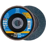 Pferd Fächerschleifscheibe Z 80PSF gerade 125mm K80