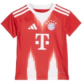 adidas FC Bayern München Trainingsanzug 25/26 rot Kinder Gr. 80