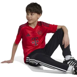 adidas FC Bayern München 24/25 Heimtrikot Kids Red 140
