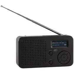 tragbares Dab+ Radio Dabman 17