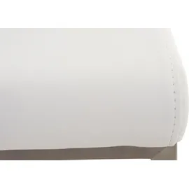 CLP 2er Set Esszimmerstühle Colmar Mit Pflegeleichtem Kunstledersitz I Gepolsterte Lehnstühle Mit Edelstahlgestell