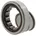 SKF NJ2208ECP/C3