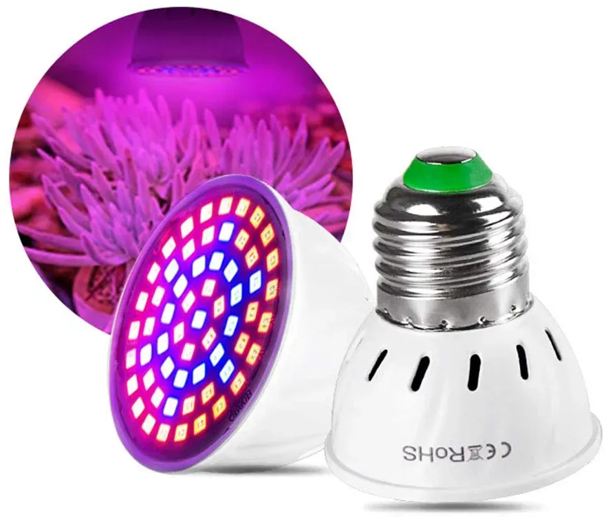 pflanzenlampe