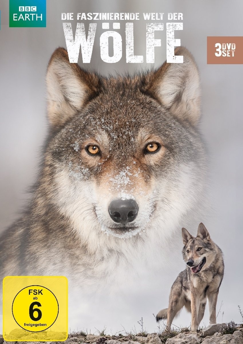 Die faszinierende Welt der Wölfe [3 DVDs] (Neu differenzbesteuert)