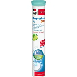Queisser Doppelherz Magnesium 500+B12 Brausetabletten