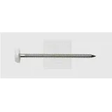 SWG Nägel mit Plastikkopf 2 x 30 mm 250 Stück