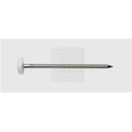 SWG Nägel mit Plastikkopf 2 x 30 mm 250 Stück