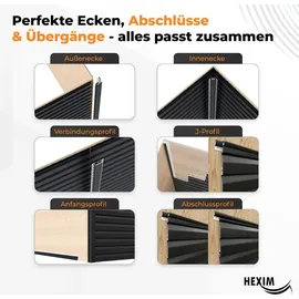 HEXIM Siding Fassadenpaneele grau 2 St. UV-beständig