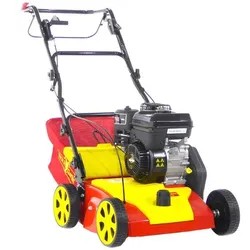 Wolf Garten VA 389 B - Vertikutierer mit festen Messern - B&S 750 Motor