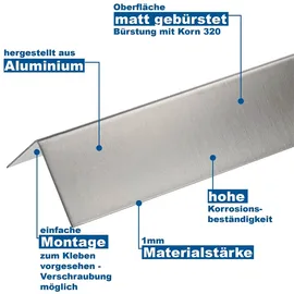 MS Beschläge Edelstahl Wandkantenschutz 1500mm - Eckschutzwinkel Eckschutzprofil G - 30x30mm