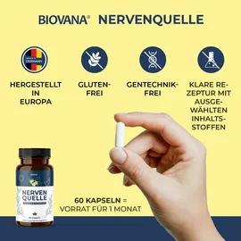 biovana Nervenquelle Vitamin B Komplex Kapseln 60 St.