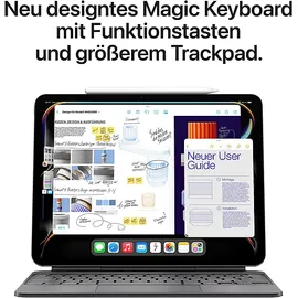 Apple iPad Pro 11" (5. Generation 2024) 2 TB Wi-Fi Nanotexturglas Space Schwarz