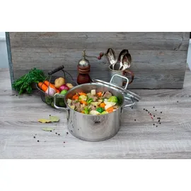 ELO Citrin Fleischtopf 16 cm 72416