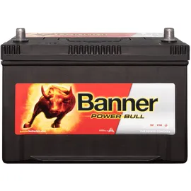 Banner Power Bull 95Ah 12V