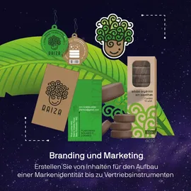 Corel CorelDRAW Graphics Suite 2025 1 Benutzer