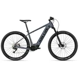 Kelly's Tygon R50 P 29 Zoll RH 45 cm grau