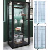 VCM Holz Glas Vitrine Sammelvitrine Glasvitrine Schaukasten Standvitrine Kavisa L Silber