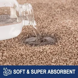 FCSDETAIL Schmutzfangmatte 86x150cm braun