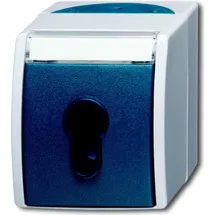 Busch-Jaeger Schlüsselschalter 2733 SLW-53