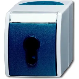 Busch-Jaeger Schlüsselschalter 2733 SLW-53