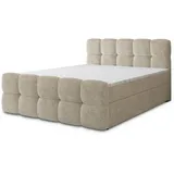 masseno Brume 140 x 200 cm H2+H3 Creme