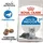 Royal Canin Indoor +7 3,5 kg